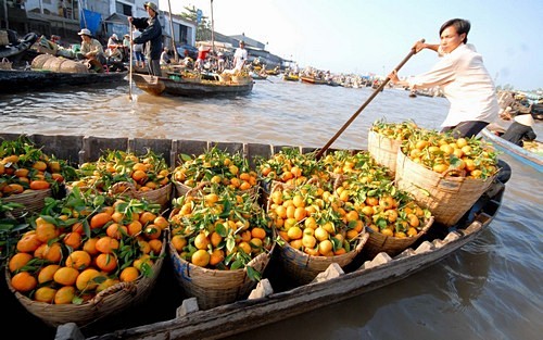 Mission soins dentaires à Cai Tac, Chau Thanh, Vietnam, Octobre 2015 - Association Solidarité Dentaire Vietnam France